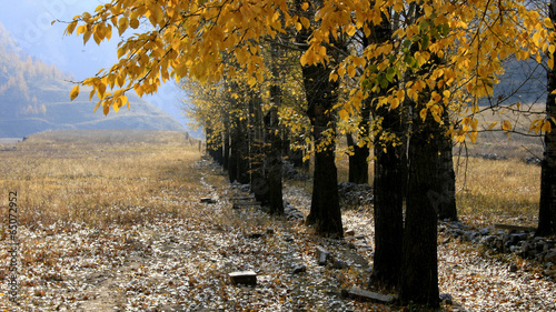 The image of landscape