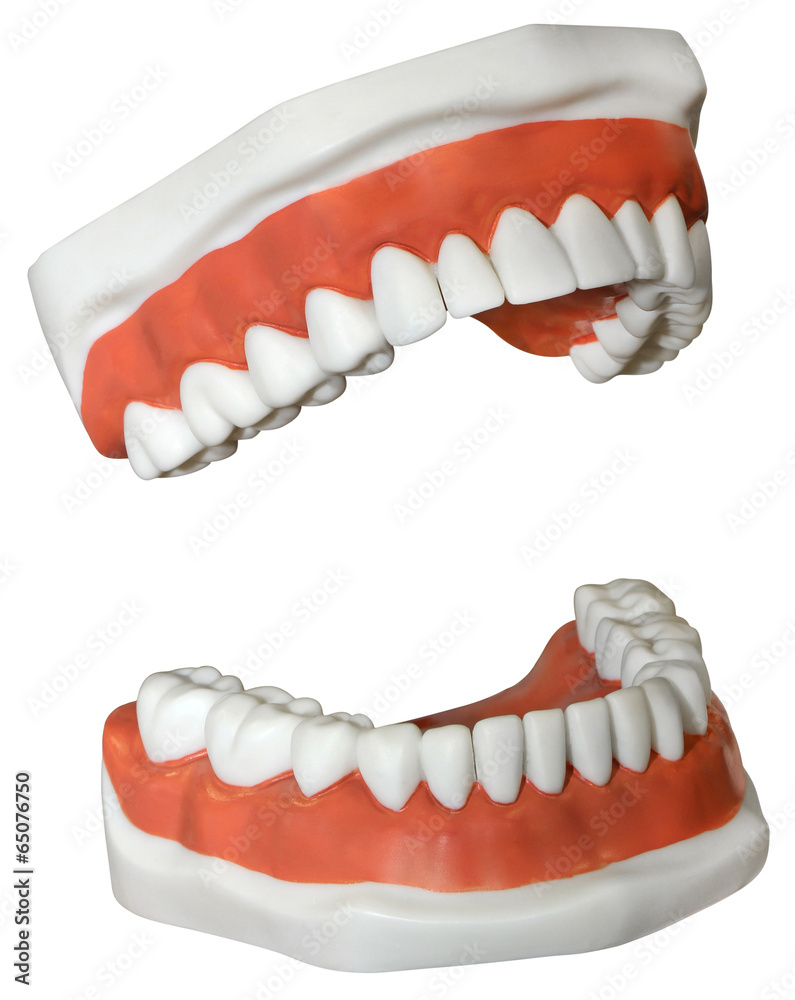 Obraz premium Medical Dentures