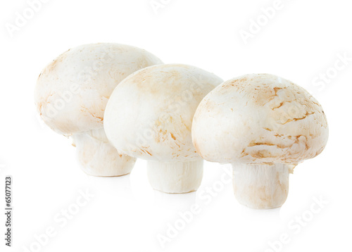 mushrooms champignons isolated