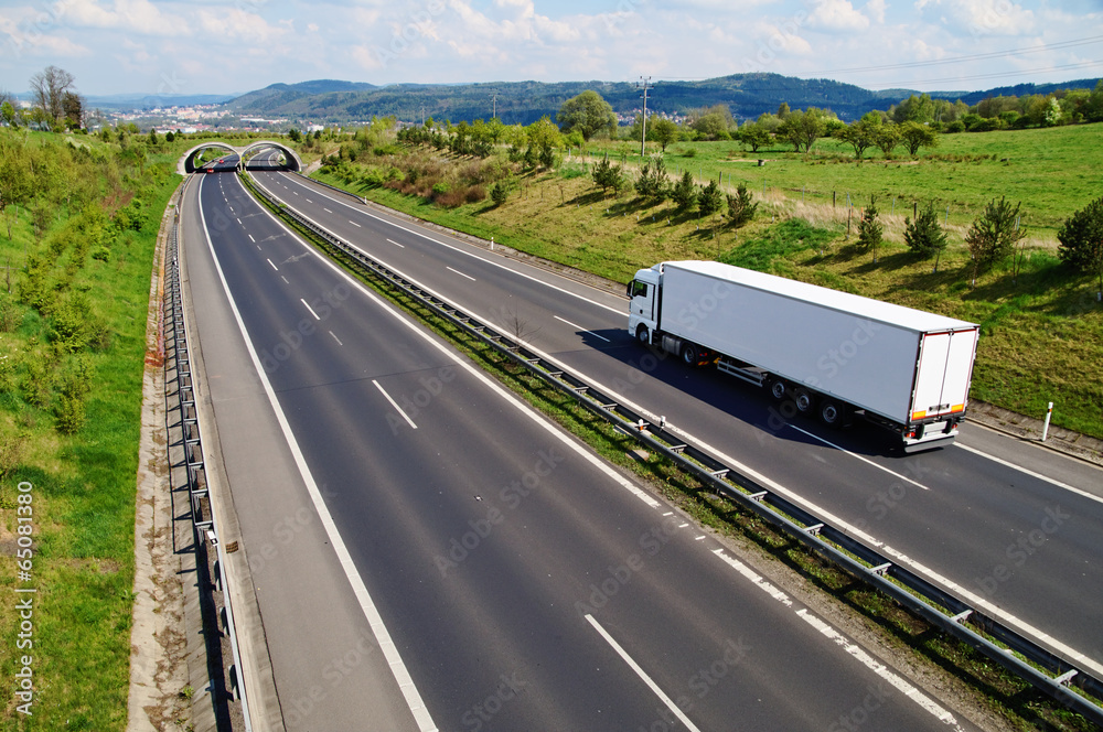 Corridor highway with the transition for wildlife