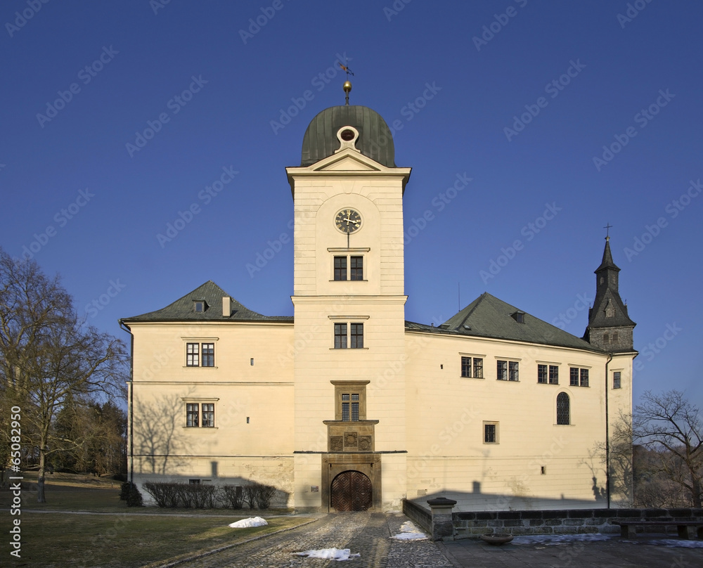 Obraz premium Castle Hruby Rohozec in Turnov. Czech Republic