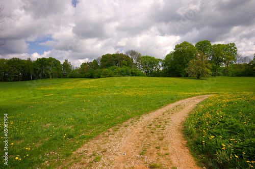 Spring summer background - rural road in green grass field