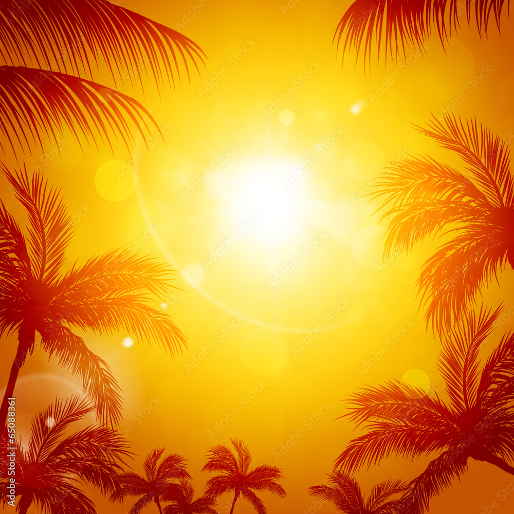 Tropical Sun among Palms