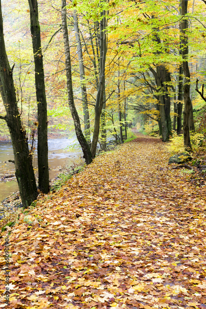 Peklo Valley in autumn, Czech Republic
