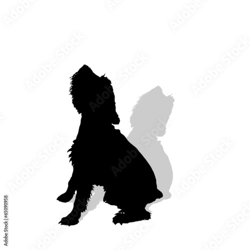 Vector silhouette of a dog.