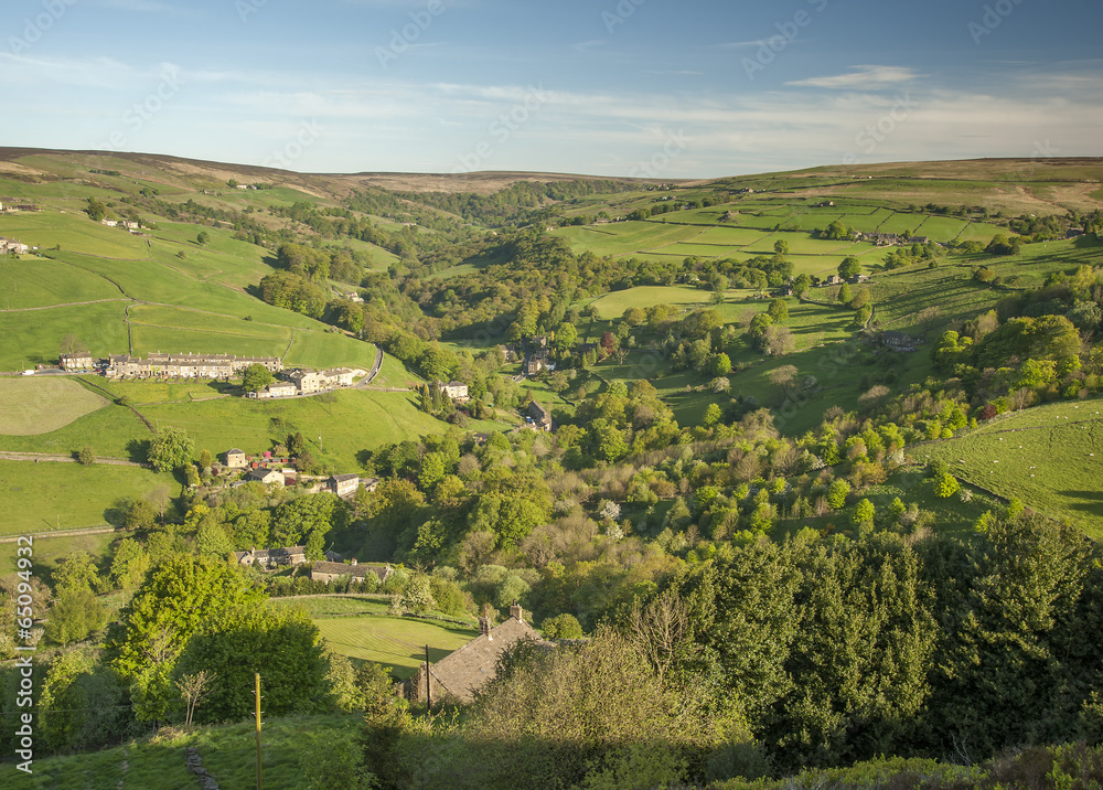 Wooded valley, Yorkshire Dales