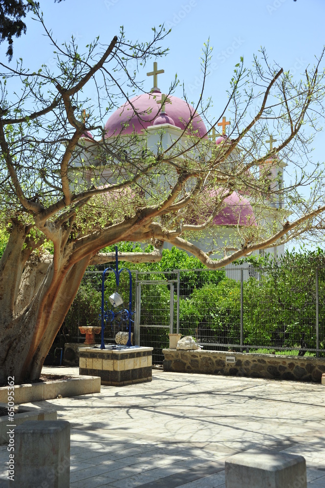 Obraz premium Gardens around the Greek Orthodox Church in Capernaum