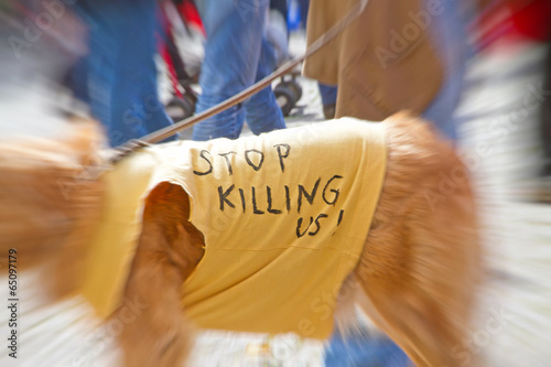 Stop killing us photo