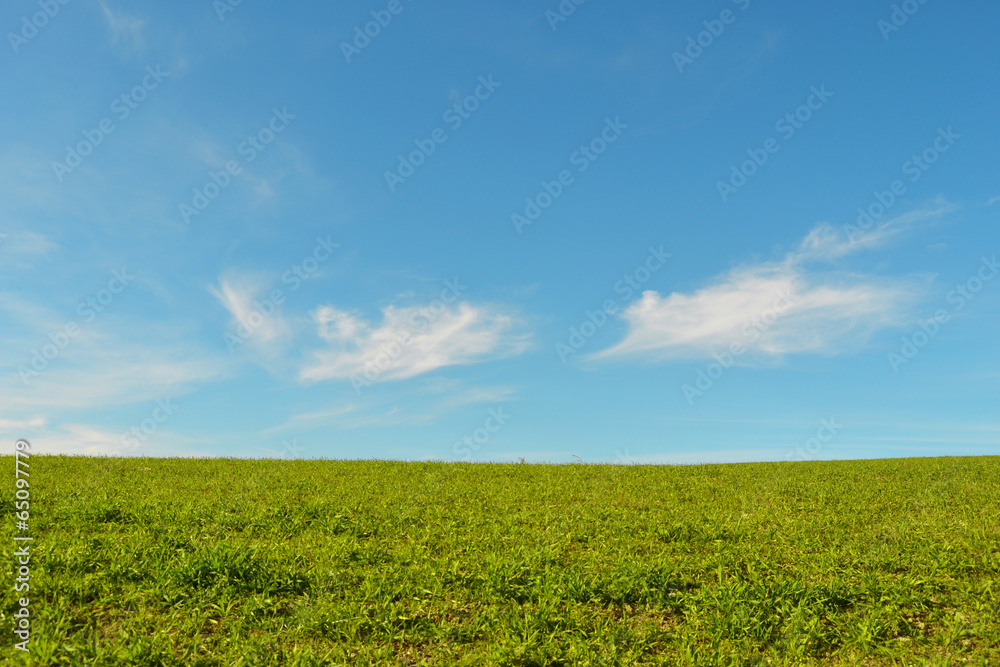 Prato con cielo azzurro e nuvole