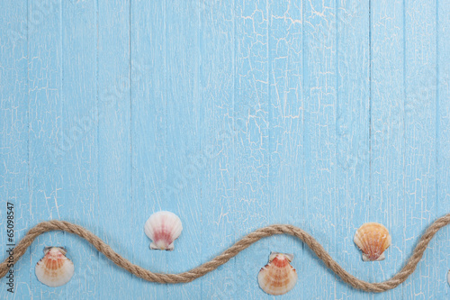 shells rope   on blue  background