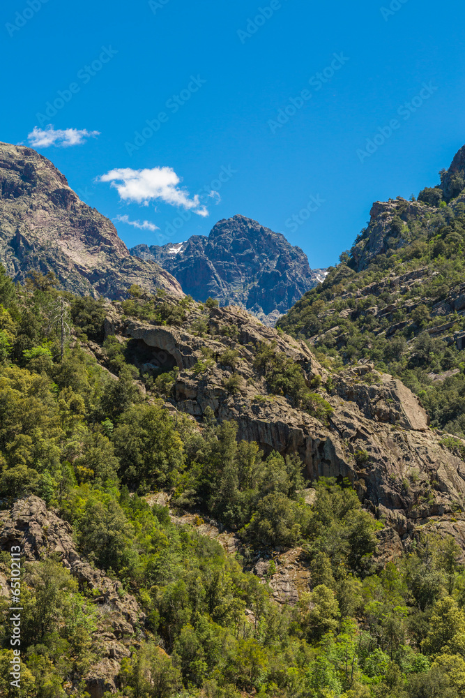 Foret de Bonifatu in Corsica