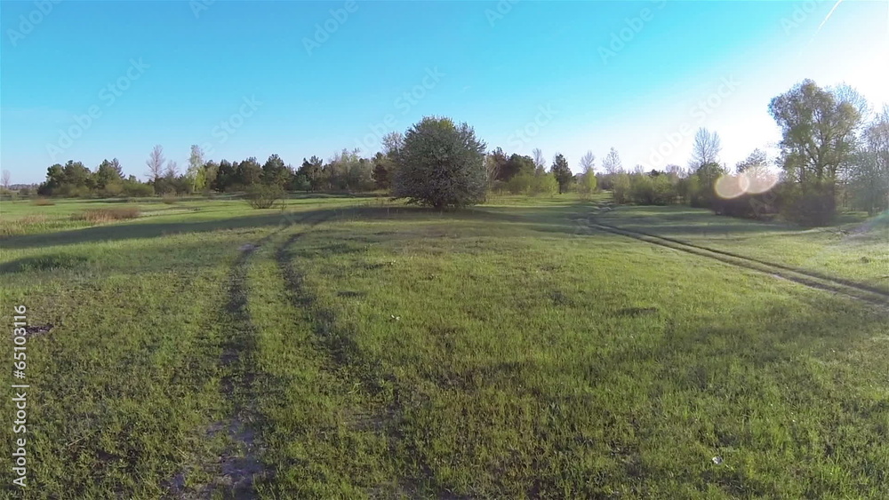 Flight up over blossoming tree. Aerial Flight up over blossoming tree. Aerial