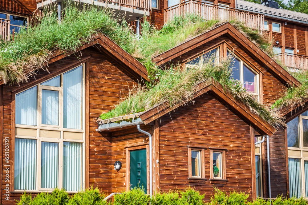 Typical norwegian house with grass on the roof