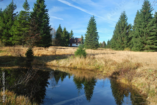 little pond in Orlicke hory Mts. near Destne v Orlickych horach photo