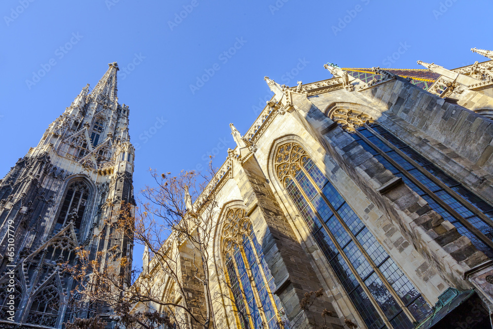 Fototapeta premium st stephen's cathedral in Vienna