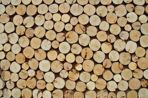 Pile of wood logs