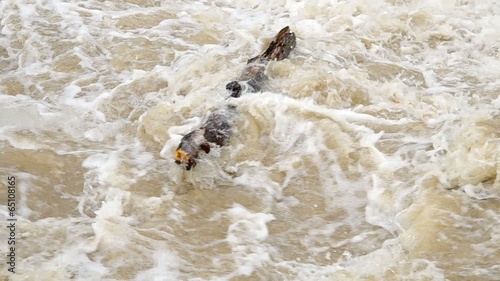 Tempestuous flow of the river