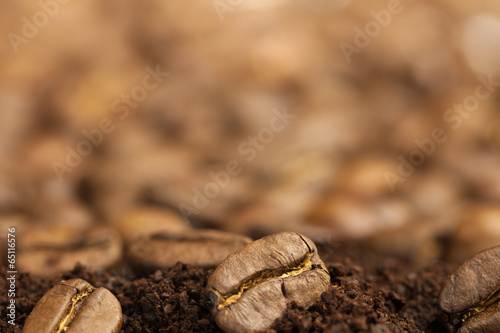 coffee beans