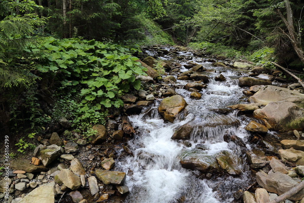 Obraz premium Carpathian Mountains