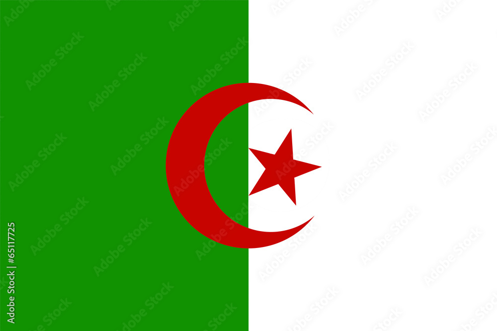 Algeria Flag Algeria Flag