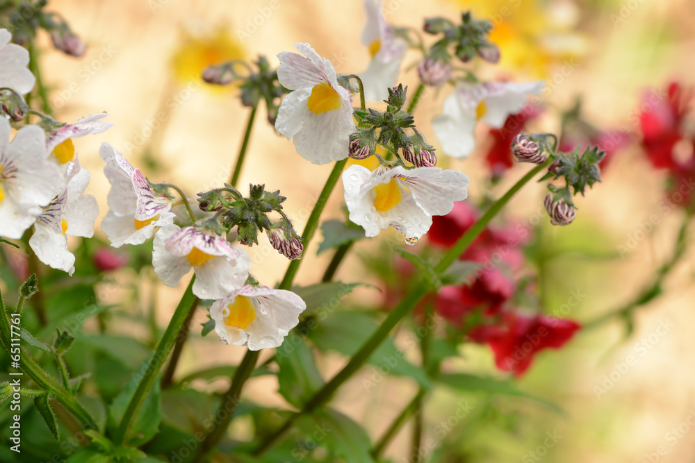 Garten 143 Garten 143