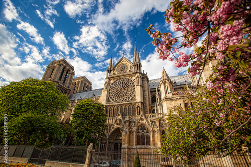 Notre Dame cathedral during spring time in Paris, France