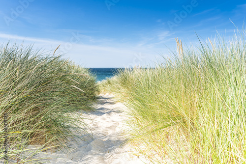 Fototapeta Naklejka Na Ścianę i Meble -  Dune with beach grass close-up.