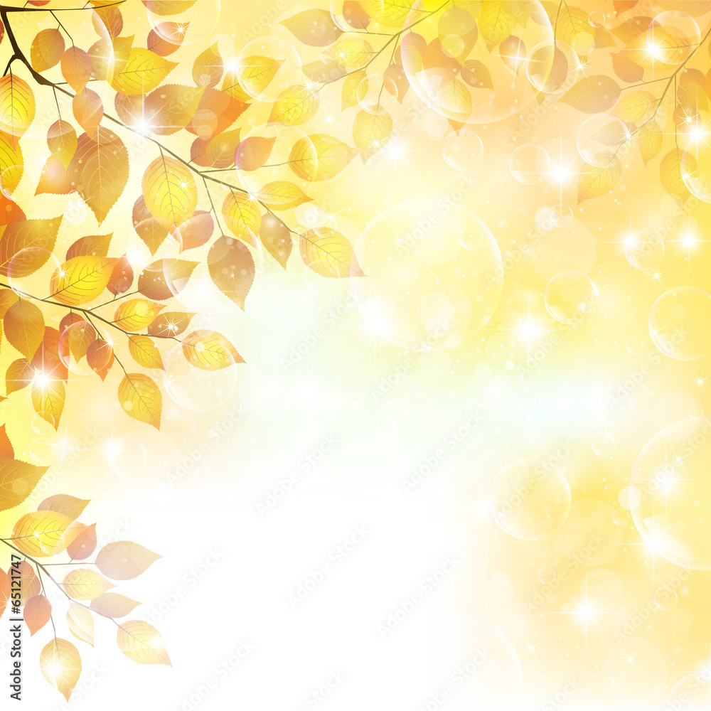 もみじ 紅葉 風景 もみじ 紅葉 風景