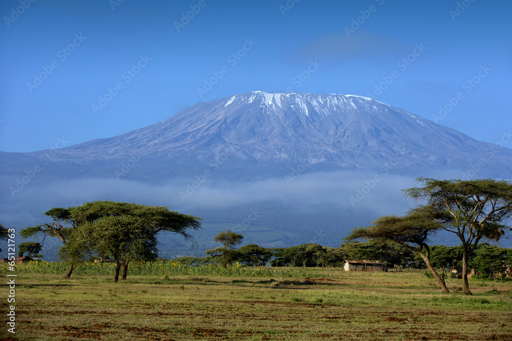 Naklejka premium Śnieg na szczycie Kilimandżaro w Amboseli