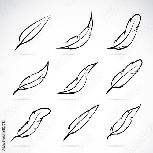Vector group of feather. Easy editable layered vector illustration.