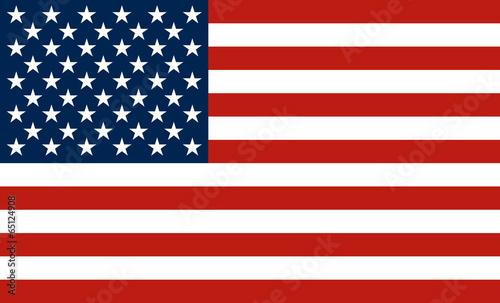 Obraz na plátně USA flag