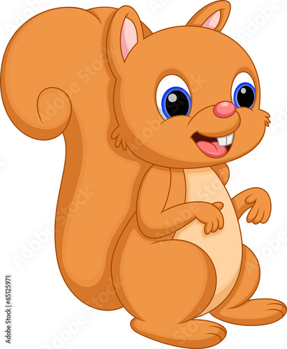 Cute squirrel cartoon