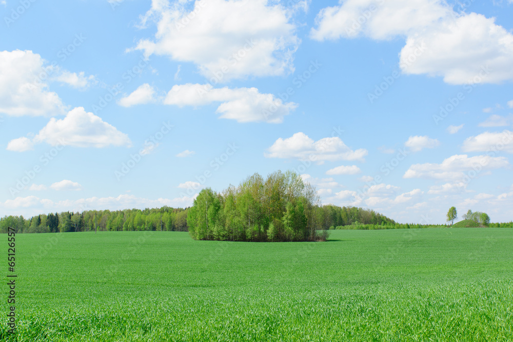 Fototapeta premium landscape with sky