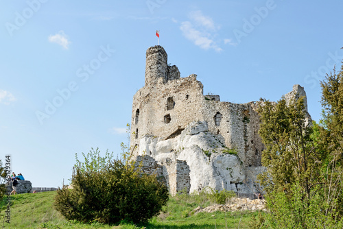 Mirów castle - Poland