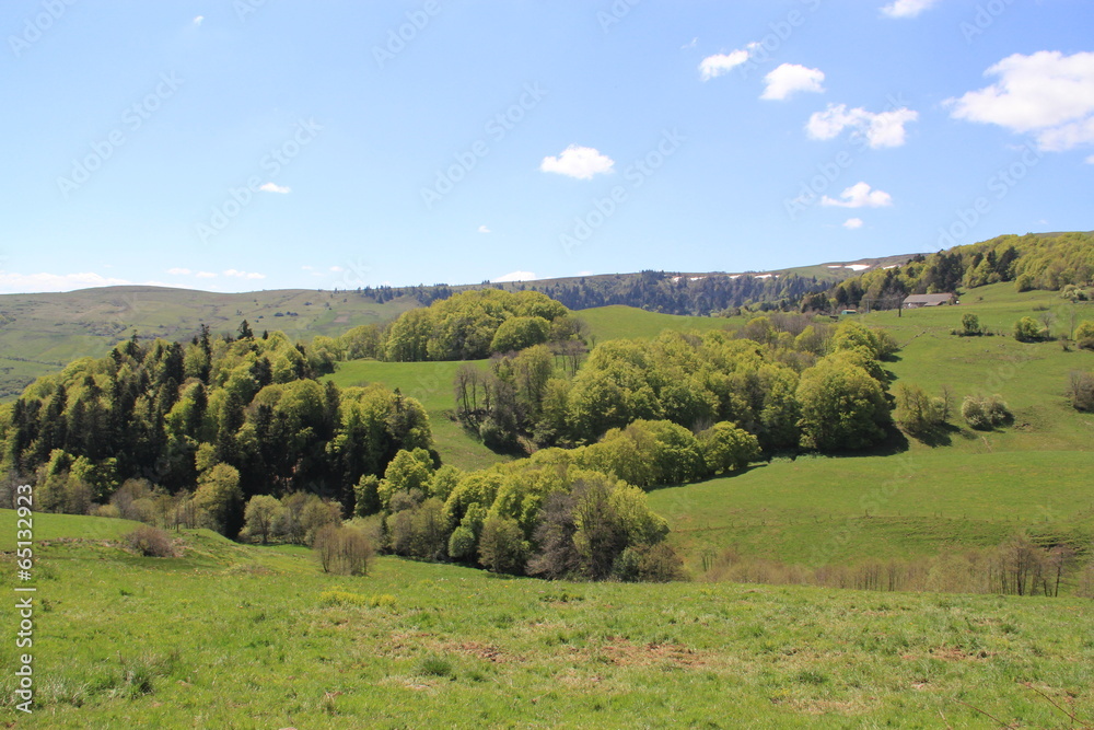 hautes terres du Cézalier - Auvergne