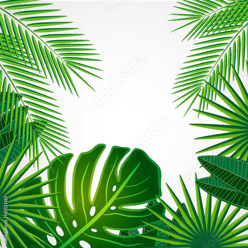 Tropical leaves. Floral design background.