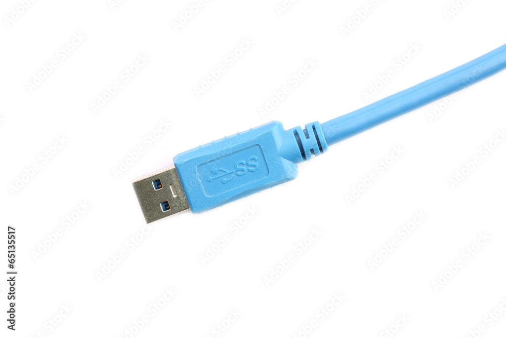 blue USB Plug isolated on white. blue USB Plug isolated on white.