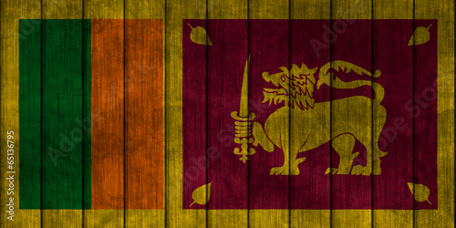 Illustration with flag in map on grunge background - Sri Lanka