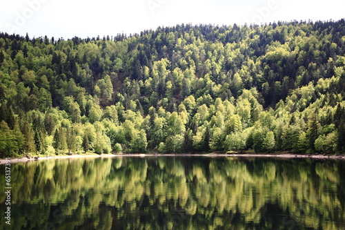 Lac des Corbeaux dans les Vosges photo