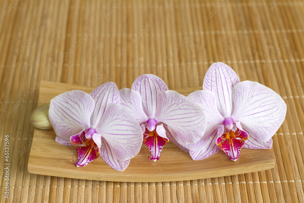 Orchids on bamboo mat abstract asian food unique concept Orchids on bamboo mat abstract asian food unique concept