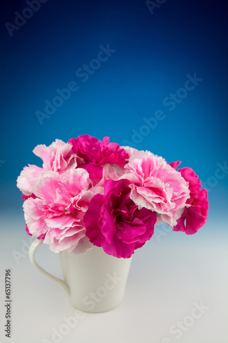 カーネーション