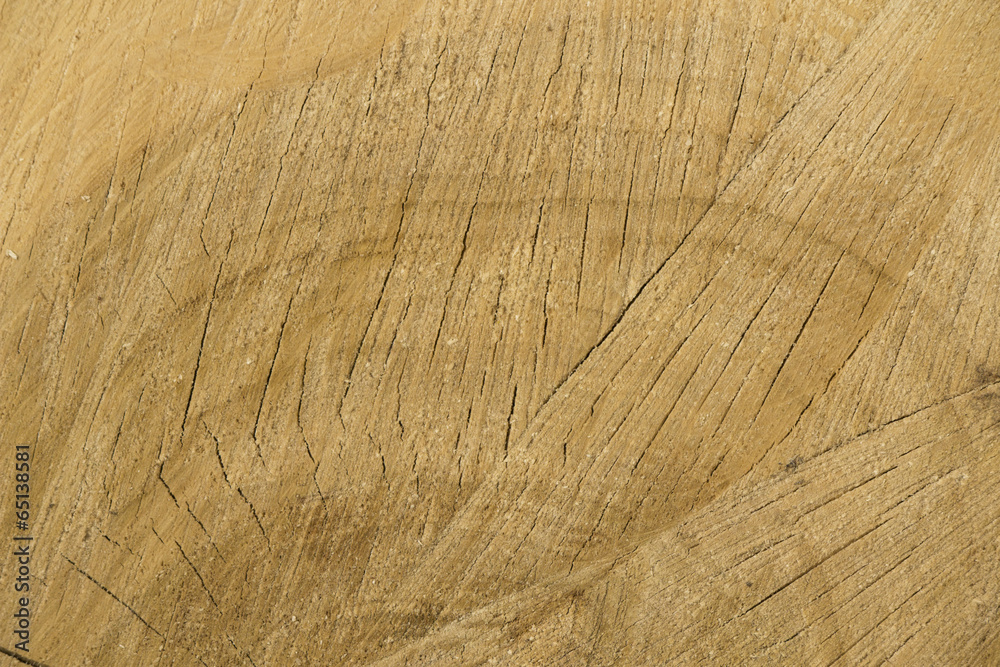 Fototapeta premium Holzstruktur 1