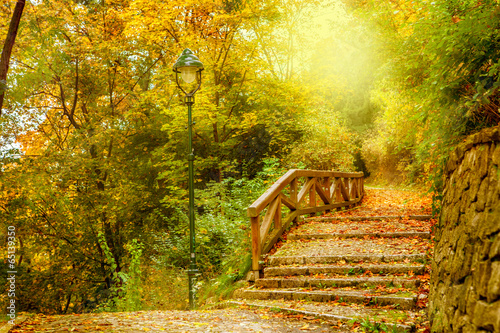 Stone stairs in a park