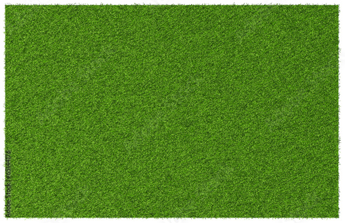 Green grass meadow