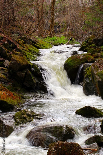 Small waterfall in Quebec forest during the spring