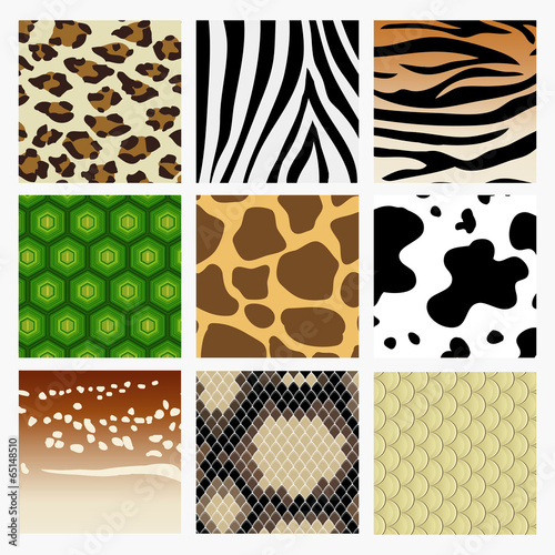 Animal skin
