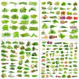 Vegetables collection isolated on white background