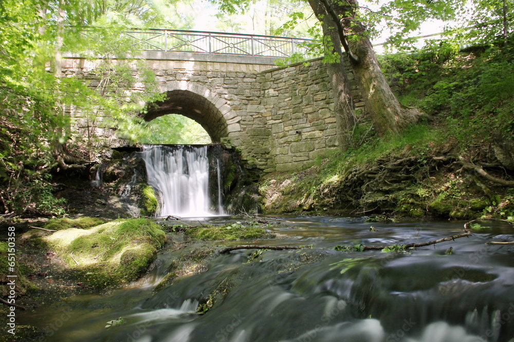 Fototapeta premium Wasserfall der Lutter bei Großbartloff (Eichsfeld, Thüringen)
