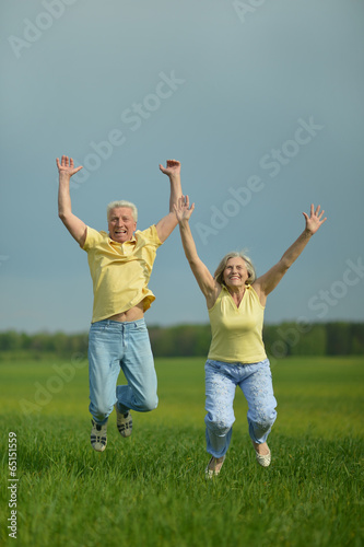 Senior couple in field