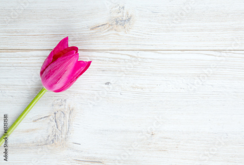 Fototapeta Naklejka Na Ścianę i Meble -  pink tulips on wooden surface